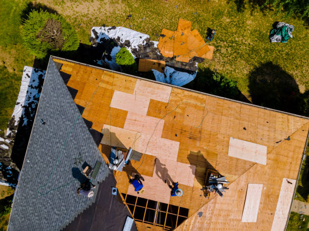 Best Roof Maintenance Services  in Hornsby Bend, TX