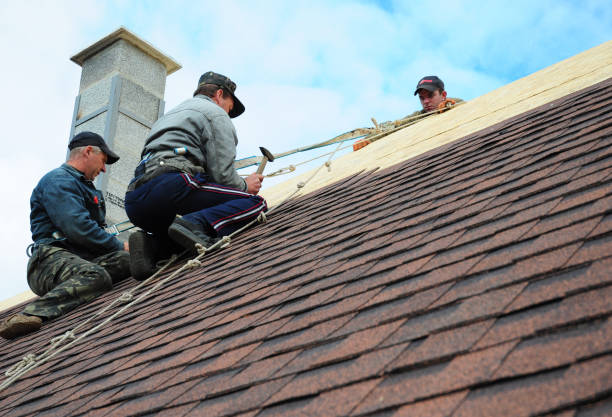 Best Roof Repair Services  in Hornsby Bend, TX