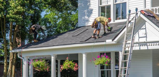 Best Roof Maintenance Services  in Hornsby Bend, TX