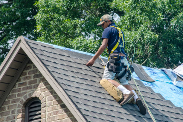 Best New Roof Installation  in Hornsby Bend, TX